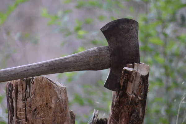 Yaşlı ağaç kütüğünde dinlenen eski bir balta..