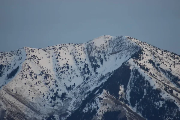 冬の雪と常緑樹に覆われた暗い山の霧の青い空 — ストック写真