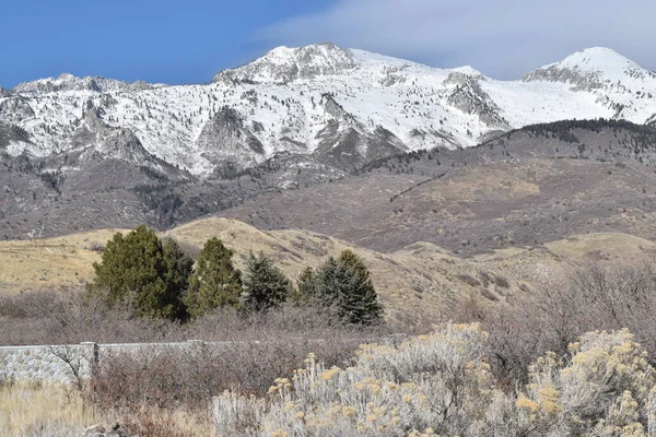 Montaña Nevada Con Rocas Grises Colinas Amarillas Grises Árboles Siempreverdes —  Fotos de Stock