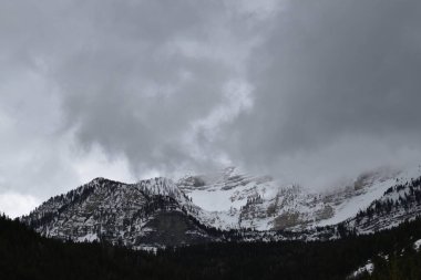 Siyah ve gri kaya dağları karla kaplı, tepeleri koyu yeşil ağaçlarla kaplı, üzerinde gri ve beyaz bulutlar var..