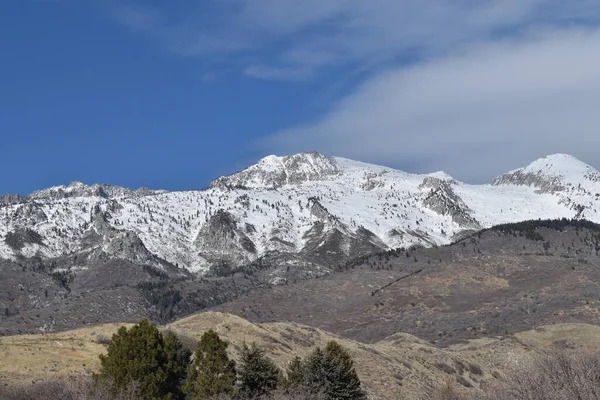 white snowy mountain with gray and brown foothills, evergreen trees, blue sky, and white clouds.