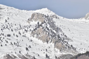 Gri kaya dağının üstündeki soluk mavi gökyüzü kışın daima yeşil çam ağaçlarıyla kaplı beyaz karla kaplı.. 