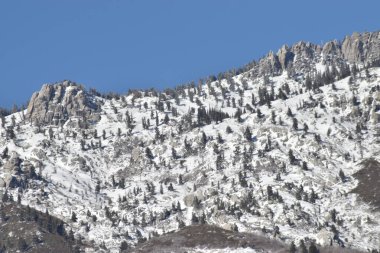 Gri dağlarla kaplı açık mavi gökyüzü. Her yer yeşil çam ağaçları ve gri eteklerle kaplı..