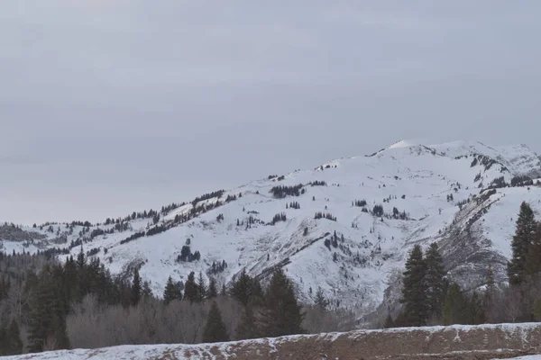 snowy white mountain with evergreen trees, cloudy white and gray sky, and cement wall.