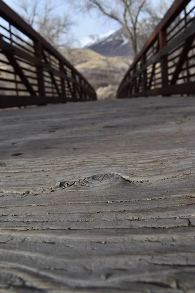 Grande Nodo Legno Sul Ponte Legno Vista Vicino — Foto Stock