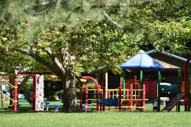 Yaz aylarında oyun alanı ekipmanları üzerinde ağaç dalları. 