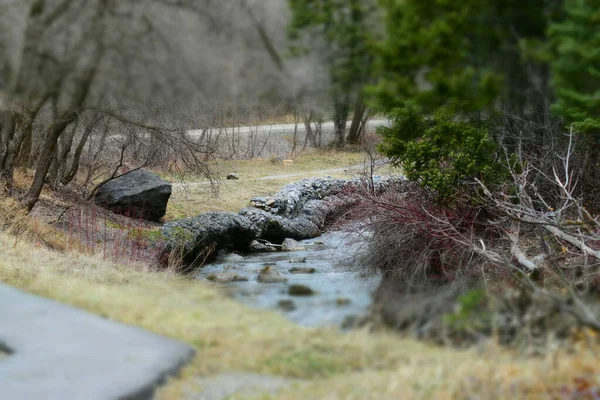 木や道によって流れる水のミニチュア効果 — ストック写真