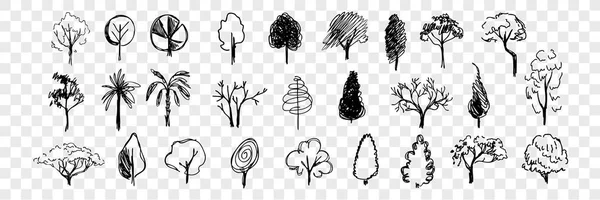 Ručně kreslené stromy doodle set kolekce — Stockový vektor