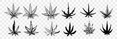 El yapımı marihuana, esrar seti koleksiyonu