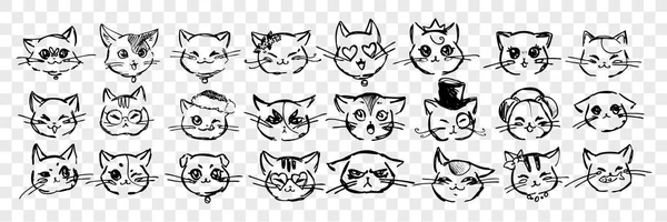 Набор эмоций и выражений лица ручной работы кошек — стоковый вектор
