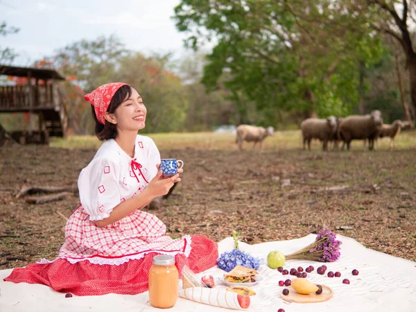 The young woman on a picnic with many foods, drinks, and fruits in the meadow and herds of sheep on the bright summer days. Girl on a picnic with sandwiches, fruits and drinks. Farm girl with lunch.