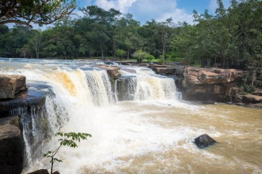 Wash'de şelale Milli Parkı.