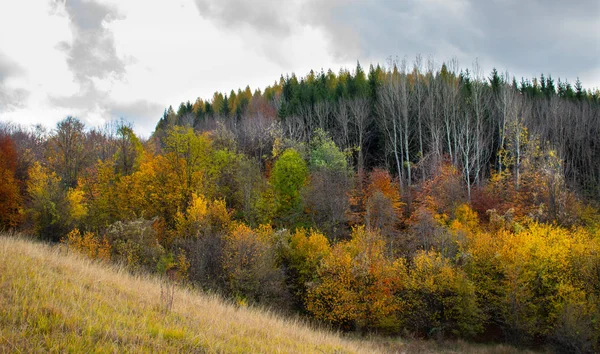 Beau Ciel Nuages Sur Une Forêt Sommet Une Colline Près — Photo