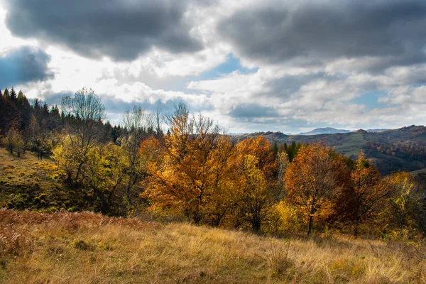 Cer Frumos Nori Peste Pădure Vârful Unui Deal Lângă Mic — Fotografie, imagine de stoc