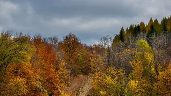 美丽的天空和云彩笼罩着一座小村庄附近的小山顶上的森林 那里有秋天的五彩缤纷的树木和秋天的色彩 — 图库照片