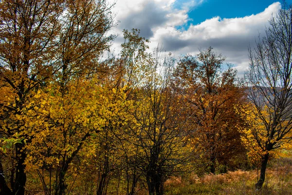 美丽的天空和云彩笼罩着一座小村庄附近的小山顶上的森林 那里有秋天的五彩缤纷的树木和秋天的色彩 — 图库照片