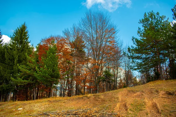 Beau Ciel Nuages Sur Une Forêt Sommet Une Colline Près — Photo