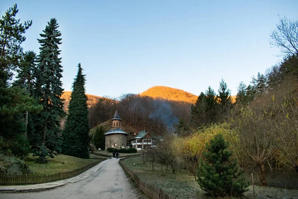 Romanya Nın Prislop Manastırı Nda Güneşli Bir Sonbahar Gününde Ağaçlar — Stok fotoğraf