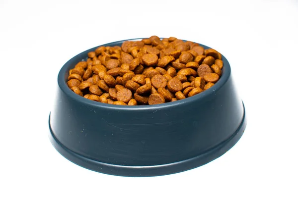 Bowl Alimente Pentru Pisici Câini Mâncare Uscată Pentru Animale Companie — Fotografie, imagine de stoc