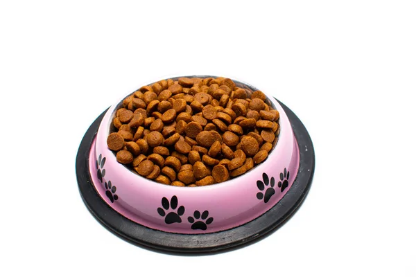 Μπολ Φαγητό Για Γάτες Και Σκύλους Ξηρά Τροφή Για Κατοικίδια Εικόνα Αρχείου