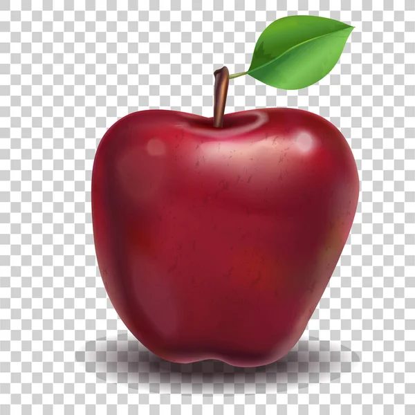 Červené jablko ilustrace — Stockový vektor
