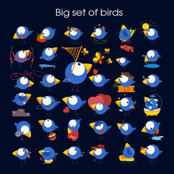 Conjunto de pássaros de desenhos animados bonito . — Vetor de Stock