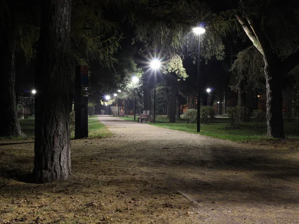 - Rusya. Moskova. Tsaritsyno bölgesi. Geceleyin Arshinovsky Parkı.