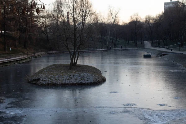 Москва Росія Озеро Аршиновському Парку — стокове фото