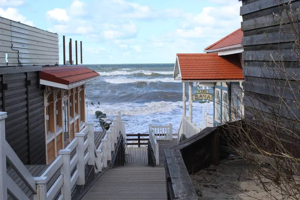 Baltık Denizi 'ndeki kafe. Rusça metin çevirisi: Cafe Dacha