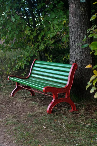 Parkbank aus Holz unter Bäumen im Wald — Stockfoto