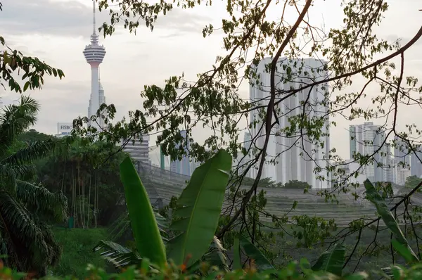 Kuala Lumpur, Maleisië - 16 januari 2016: uitzicht op de toren commucation Kl toren tussen palmen en planten — Stockfoto