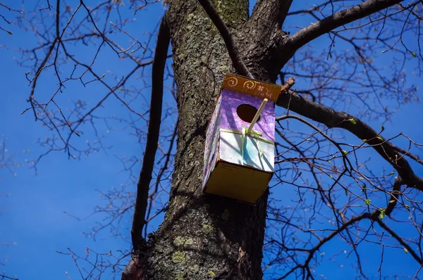 Maisons d'oiseaux en bois aux motifs roses et colorés sur un arbre . — Photo