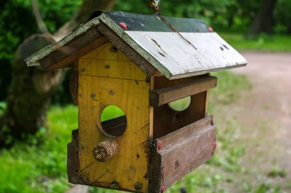 Yello bird house in a lush garden — Stockfoto