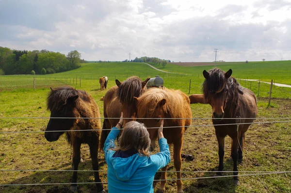 Homem com cabelos longos falando cavalos no prado — Fotografia de Stock