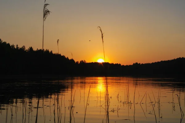 Puesta de sol roja y naranja sobre el lago con reflejo de agua — Foto de Stock