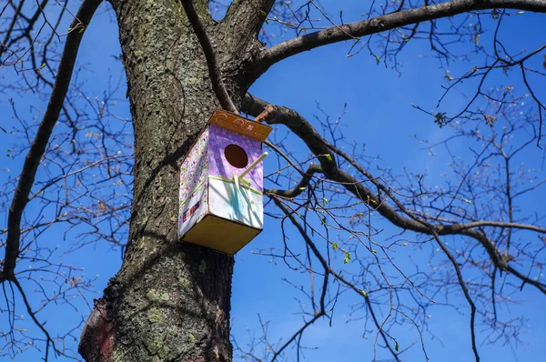 Färgglada, rosa mönstrad trä birdhouses på ett träd. — Stockfoto