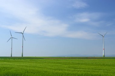 Rüzgar türbinleri elektrik üreten yeşil çayır