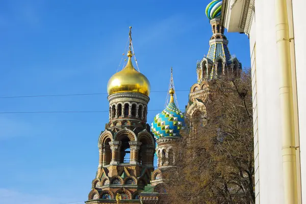 Деталь Храма Спасителя на Крови в Санкт-Петербурге, Россия — стоковое фото
