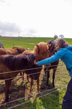 adam uzun saçlı çayır on at besleme