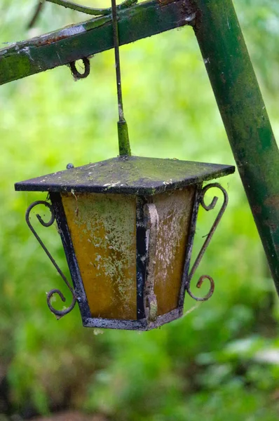 Vintage stil gatubelysningen med krona på toppen. Vackra historiska retro metall Streetlight gröna träd bakgrund. — Stockfoto