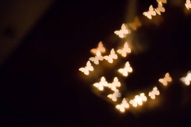 Renkli kelebek kara arka planda bokeh, sarı parlayan kelebek bokeh