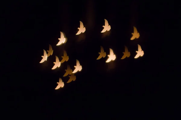 Барвисті Блискучі Літаючі Птахи Силует Боке Темному Фоні Ліцензійні Стокові Зображення