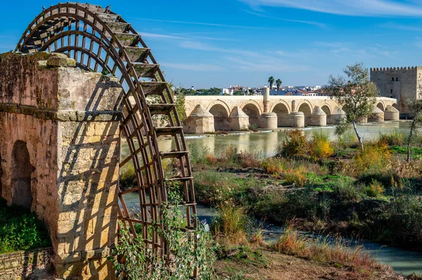 Roma köprüsü ve Cordoba, Endülüs, İspanya 'daki Guadaquivir nehrinin kıyısındaki ortaçağ değirmeninin kalıntıları..