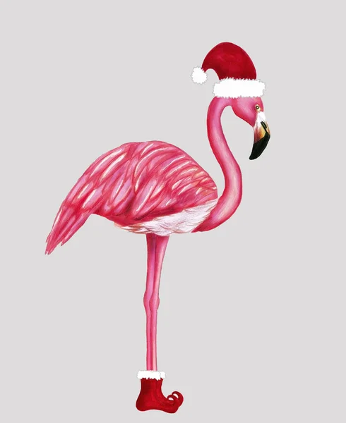 Noel Baba şapkası ve ayakkabılarıyla kış flamingosu. Kartlar, arka planlar, kumaşlar, ambalaj kağıtları için Noel tasarımı. Mutlu Noeller ve mutlu yıllar dikey tebrik kartı.. — Stok fotoğraf