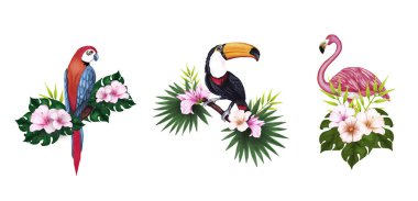 Beyaz bir arka plan üzerinde sevimli tropikal kuşlar toucan, flamingo ve papağan çizerek el seti. Davetiye kartları, tekstil, baskı ve tasarım için dekoratif egzotik tropikal eleman.