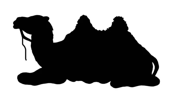 Camel eenvoudige grafische pictogram. Zwart Arabisch teken geïsoleerd op witte achtergrond. Kameel symbool van woestijn. Vectorillustratie. — Stockvector