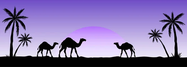Silhuett av kamelkaravan som går genom öknen. Vektor illustration för islamisk bakgrund, affisch, kalender, banderoller, vykort, webbplats och etc.. — Stock vektor