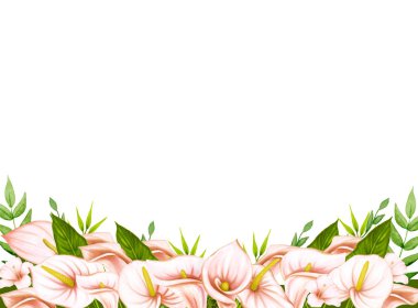 Bahar çiçeği çerçevesi. Beyaz arka planda yumuşak pembe-bej orman çiçeği anturyumu çizilmiş. Davetiyeler, tekstil, baskı ve tasarım için dekoratif tropikal element.