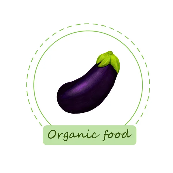 Organic food labels. Hand drawn bio eggplant. Design for menu, natural food stores, packaging and advertising. Poster with frame and borders decoration. Eco shop farm product. Healthy food.