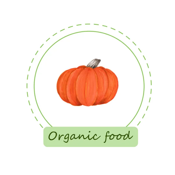 Organic food labels. Hand drawn bio pumpkin. Design for menu, natural food stores, packaging and advertising. Poster with frame and borders decoration. Eco shop farm product. Healthy food.